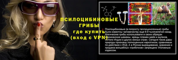 COCAINE Богородицк