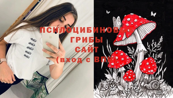 jwh Богородск