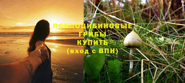 COCAINE Богородицк