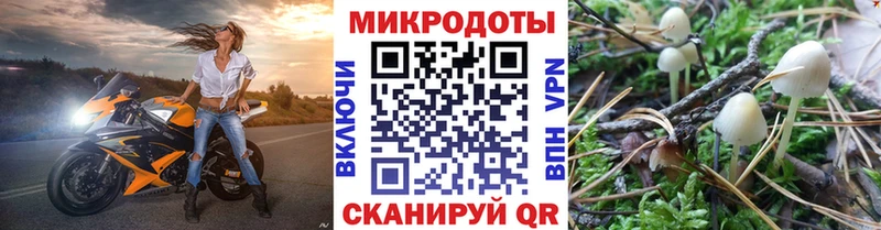 Купить где  Вельск  Галлюциногенные грибы Psilocybine cubensis 